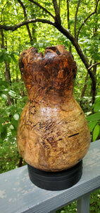 Spalted Cherry Burl Vase with Natural Edge