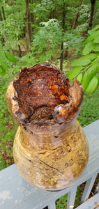 Spalted Cherry Burl Vase with Natural Edge