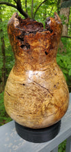 Load image into Gallery viewer, Spalted Cherry Burl Vase with Natural Edge
