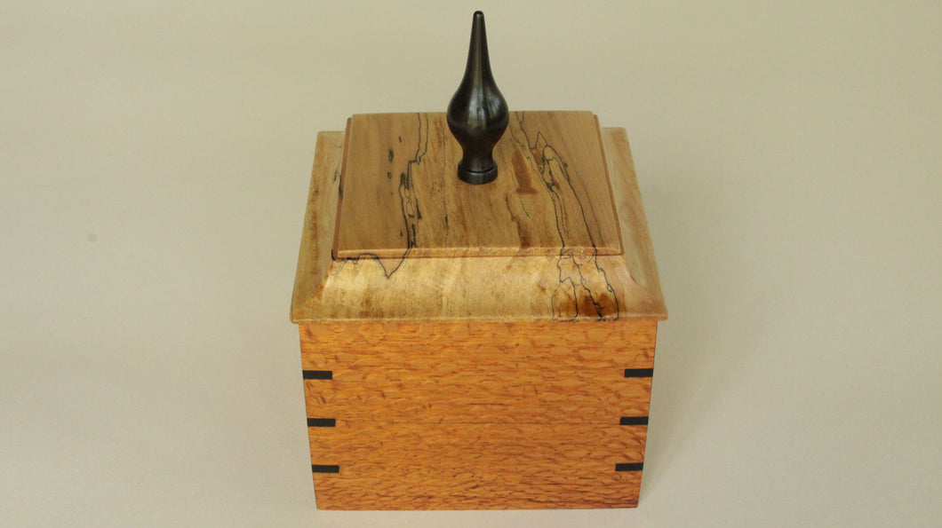 Lacewood Box with Ebony Splines and Spalted Maple Top